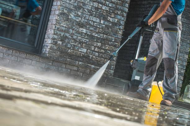 Professional Pressure Washing in South Alamo, TX